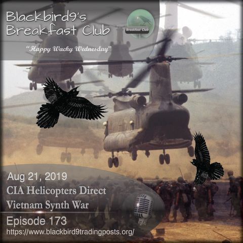 CIA Helicopters Direct Vietnam Synth War - Blackbird9 Podcast