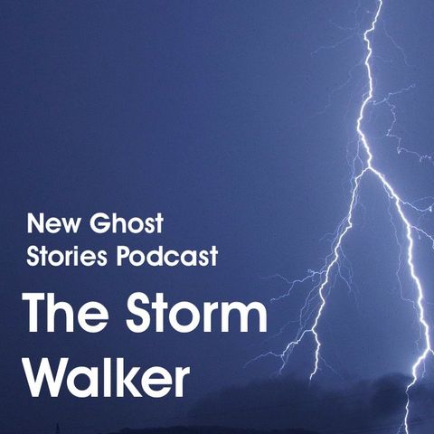 11 - The Storm Walker