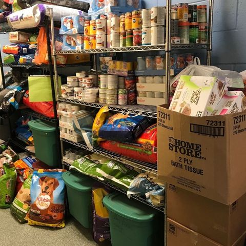 MSPCA Marks Gas Explosions Anniversary With Drive For Pet Food, Toys