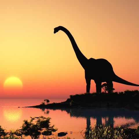 Q&A: Creation and Evolution