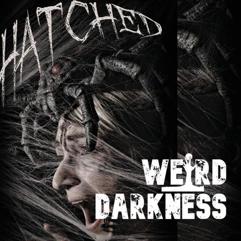 “HATCHED: INVISIBLE SPIDERS” by Jason R. Davis (FULL 9-HOUR AUDIOBOOK!) #WeirdDarkness
