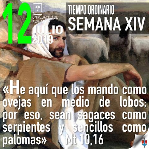 Homilía 12 Julio 2019 - La Buena Nueva muestra su esplendor aún en las persecusiones