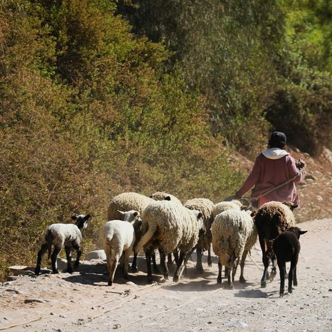 Dal Vangelo di oggi - 22 Aprile 2024