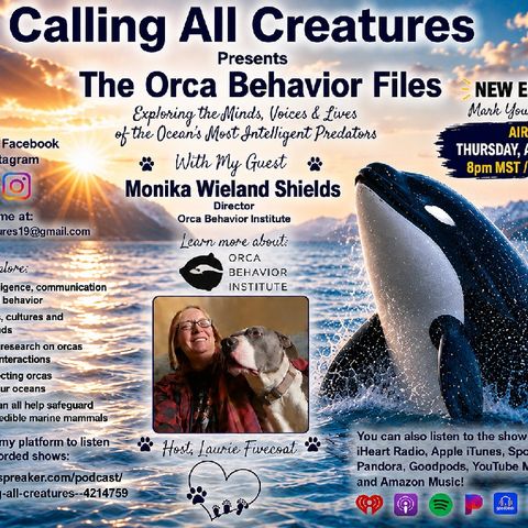 The Orca Behavior Files