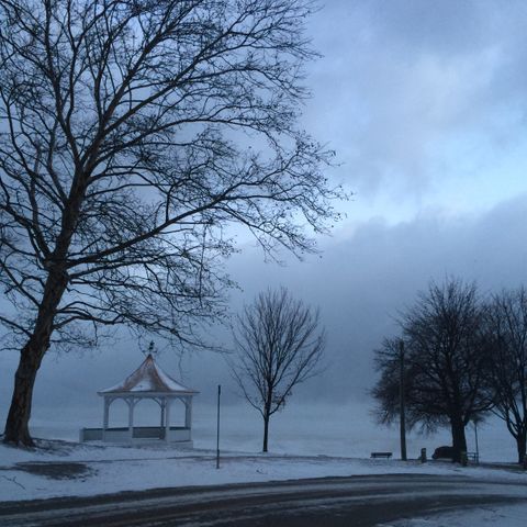 Frosty Morning in Niagara on the lake