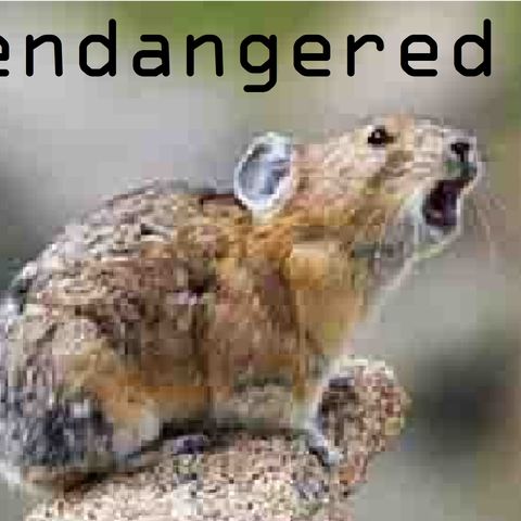 endangered