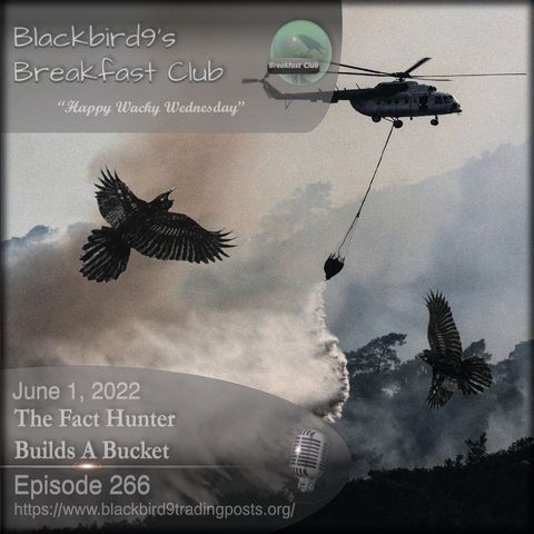 The Fact Hunter Builds A Bucket - Blackbird9 Podcast