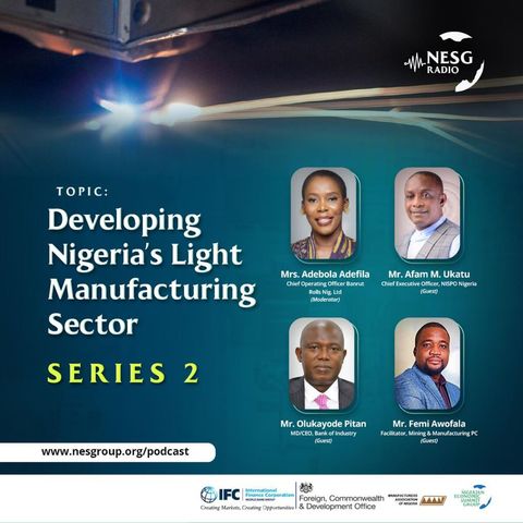 Developing Nigeria's Light Manufacturing Sector. (Series2)