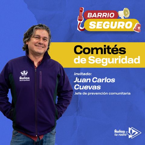 Comités de seguridad