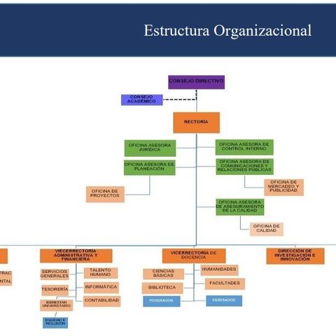 Estructura organizacional IUE