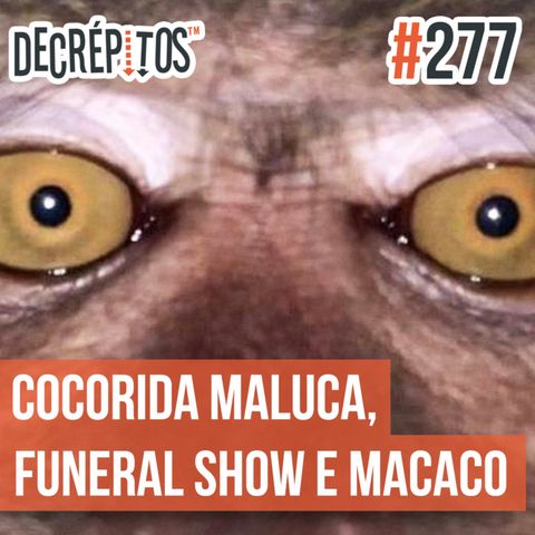 Decrépitos 277 - VACILO NEWS: Cocorrida Maluca, Funeral Show e Macaco