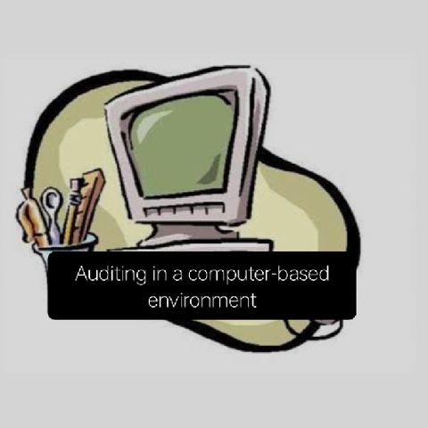 T.A.18. Auditing in a computer based environment (Part 2)