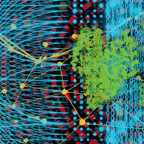 Protein behaviour can be predicted with simple maths