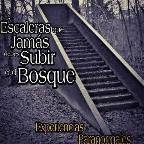 Las Escaleras del Bosque que nunca debes de subir / Experiencias Paranormales en el Bosque