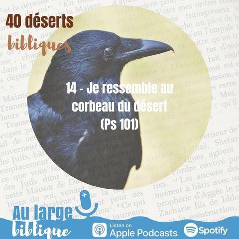 #31 Désert 14 - Je ressemble au corbeau du désert (Ps 101)