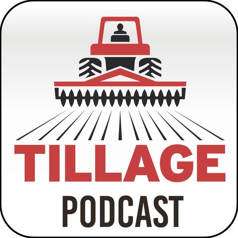 Ep 812: The Tillage Podcast - Grain markets, farming reclaimed land and dry weather