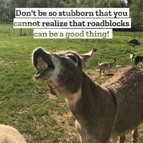Roadblocks can be a GOOD thing!