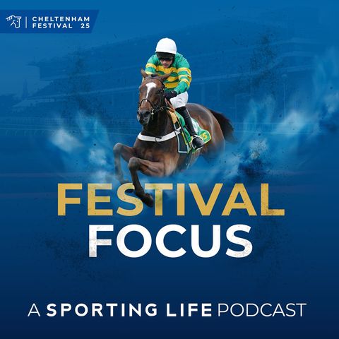 Festival Focus - #5 - Festival Fever