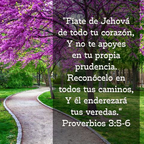 09 - Joyas de Sabiduría - ¿Cómo conseguir buenas decisiones? [Proverbios 3:5-8]