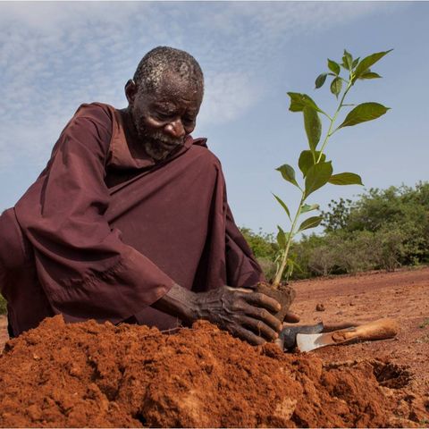 L'uomo che ha fermato il deserto