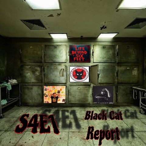 S4E1 Black Cat Report