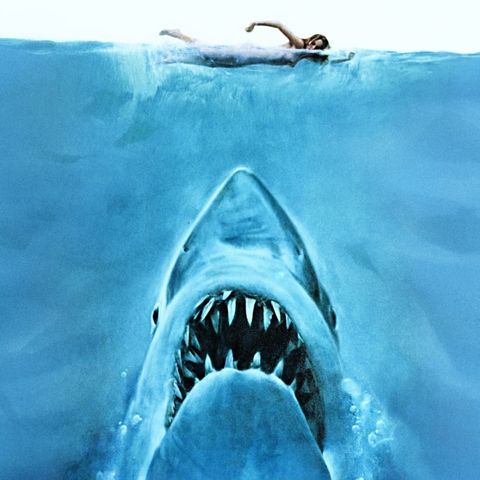 Jaws