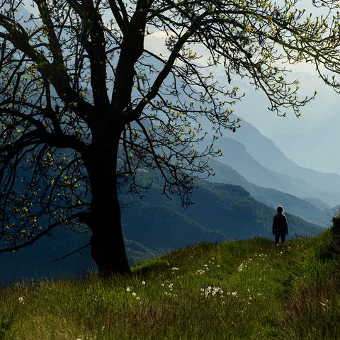 Vivre dans la nature
