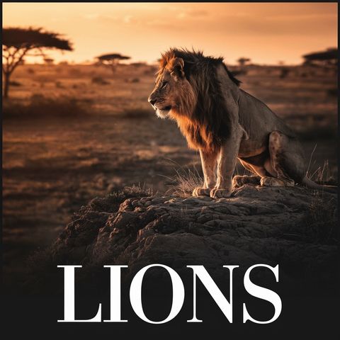 Copertina del podcast