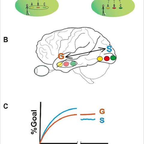 More Variability Found to Help Learning [W[R]C]