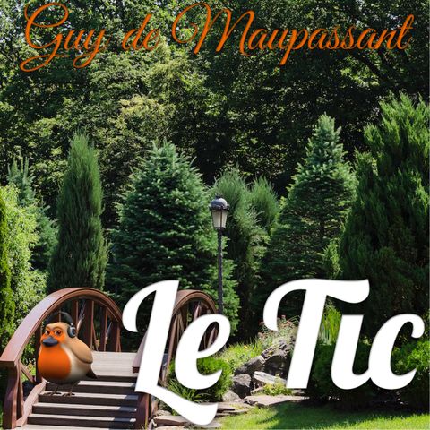 Le Tic, Guy de Maupassant (Livre audio)