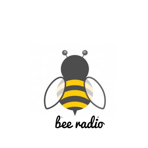 Jingle Bee Radio 3.Klasse