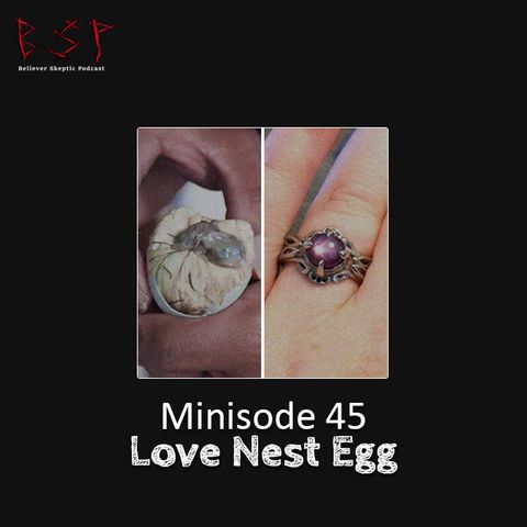 Minisode 45 – Love Nest Egg