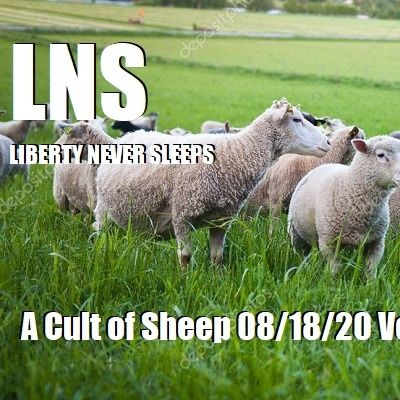 A Cult of Sheep 08/18/20 Vol. 9 #149