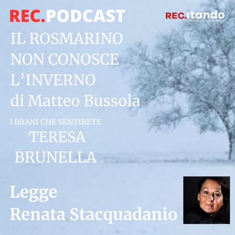 Il Rosmarino non conosce l'inverno