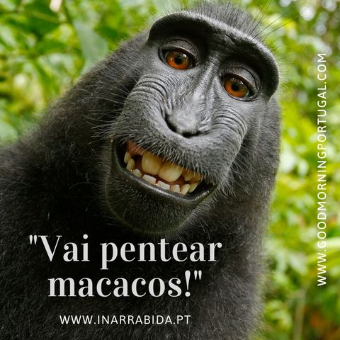 15 Weird Portuguese Sayings (from www.inarrabida.pt)