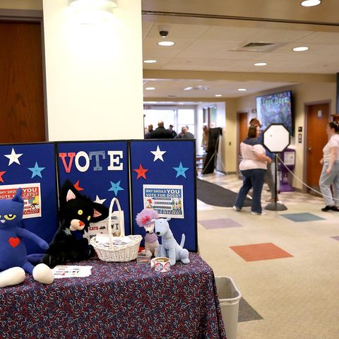 Processing error leads to 2,000 duplicate Kane mail-in ballots