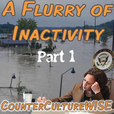 A Flurry of Inactivity (Part 1 of 2)