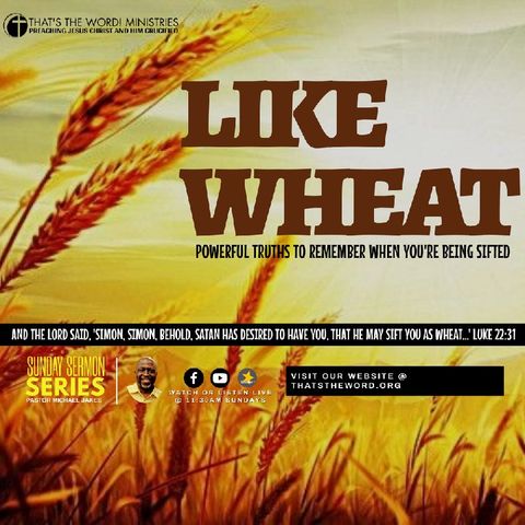 The Sunday Sermon Series | Like Wheat: 'The Provision' (John 14:16-17)