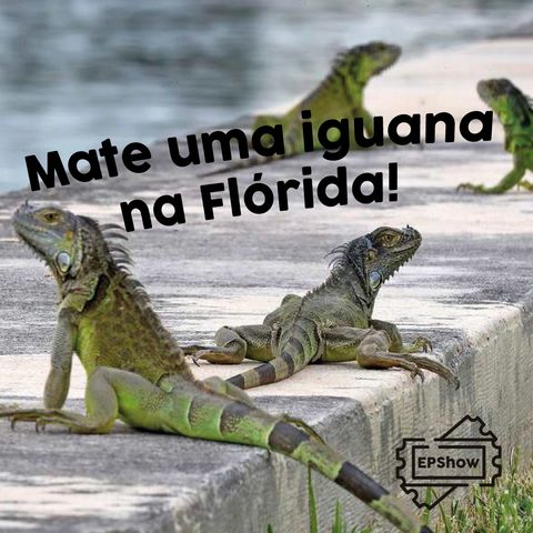 Ep007 - Mate uma iguana na Flórida - Eder Parker Show