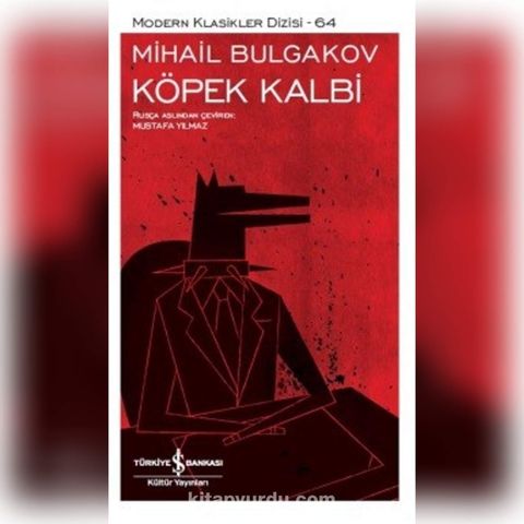 Köpek Kalbi / Mihail Bulgakov