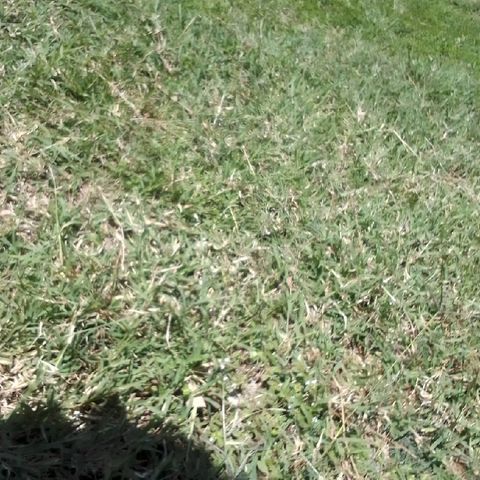 That kafelling
