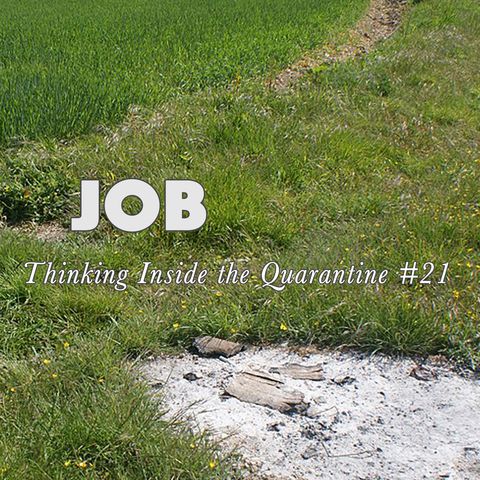 Job (Thinking Inside the Quarantine #21)