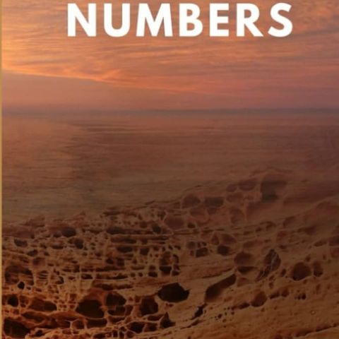 Numbers 20-24