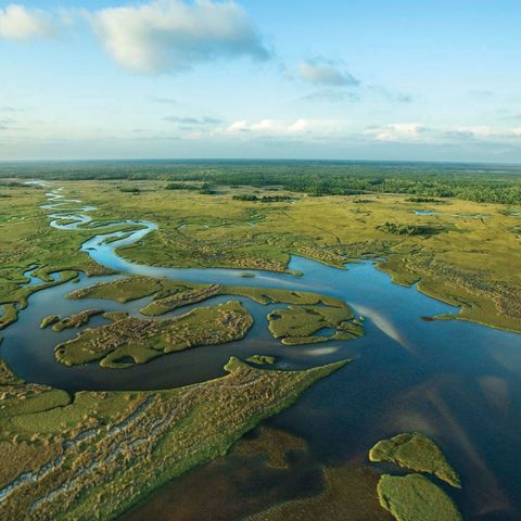 12 Hike Travels to Everglades National Park