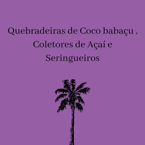 Episódio 2 - Quebradeiras de coco babaçu, Coletores de Açaí e Seringueiros