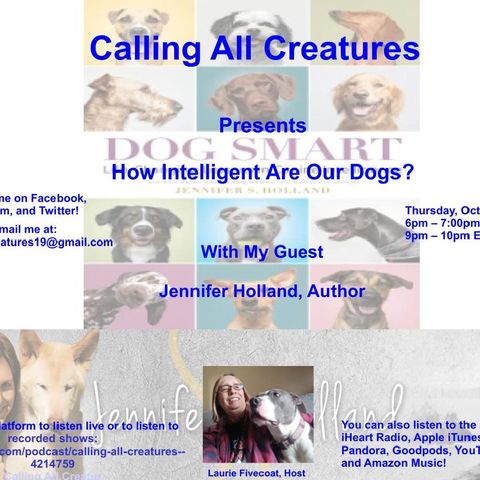 Calling All Creatures Presents How Intelligent Are Our Dogs?