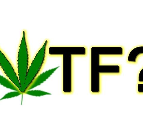 WTF? (Where's The Focus?) w/Kevin A. Phillips-Celebrating Every Day as a HOLIday