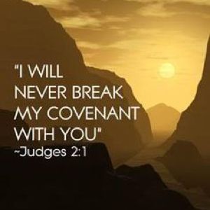 I Covenant To Do These Things