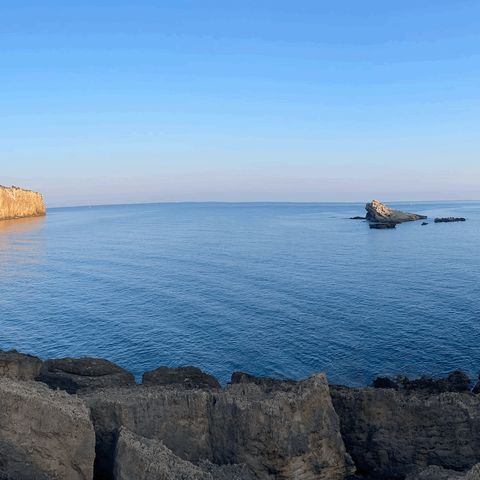 La stoltezza, peccato e persino crimine. Vangelo e omelia | 22ª Domenica 240901