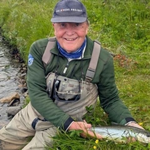 Fishy Behaviour in Arctic Norway